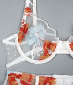 Embroidered Lace Bra Set