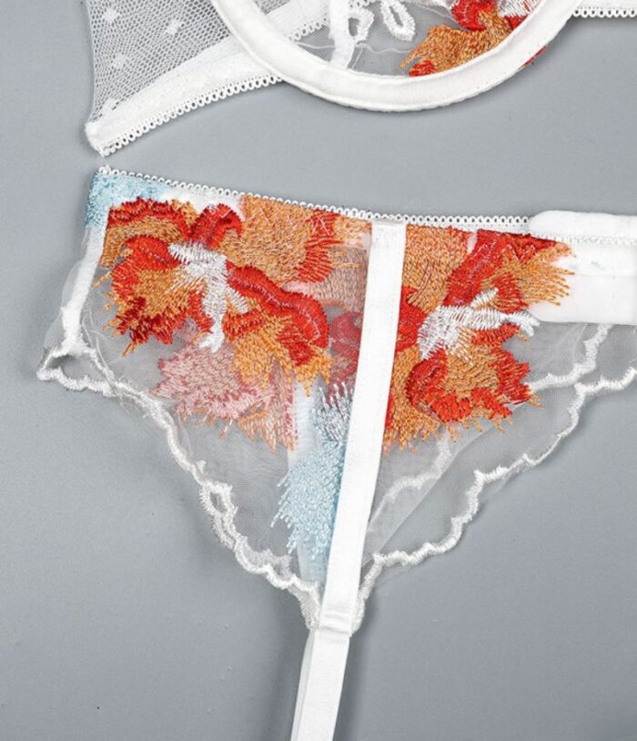 Embroidered Lace Bra Set