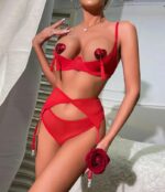 Never Be Yours 4 Piece Garter Set