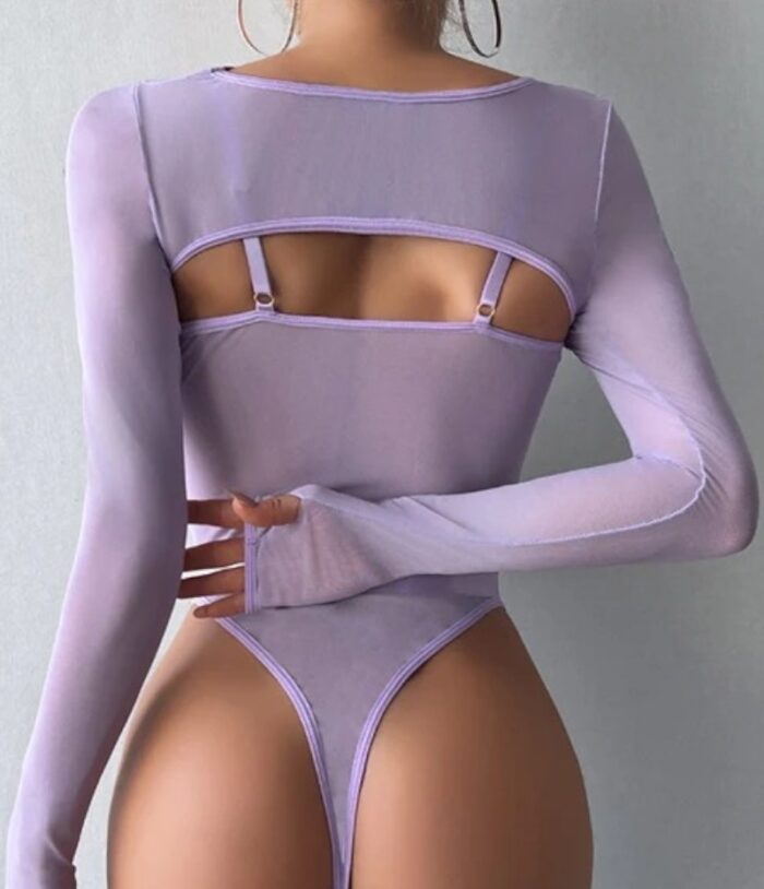 Sheer Mesh Teddy