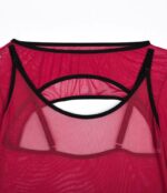 Sheer Mesh Teddy