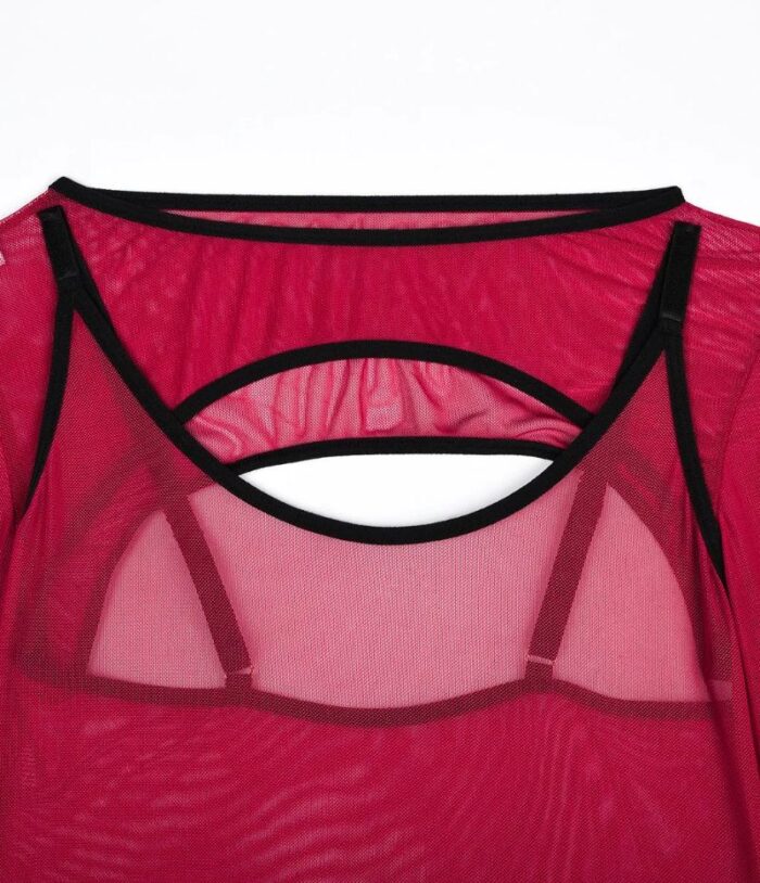 Sheer Mesh Teddy