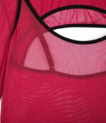 Sheer Mesh Teddy