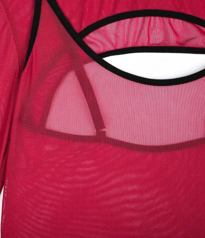 Sheer Mesh Teddy