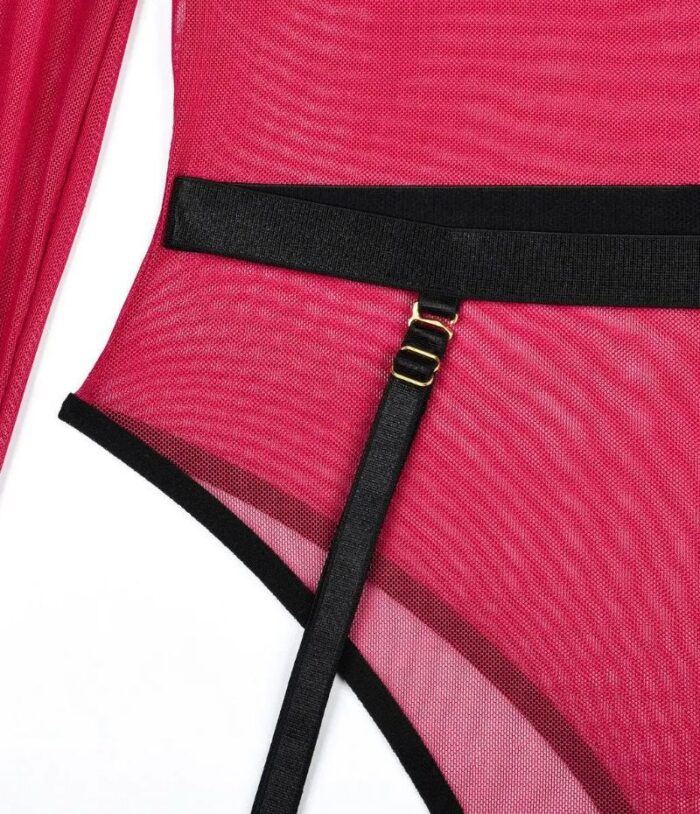 Sheer Mesh Teddy