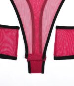 Sheer Mesh Teddy