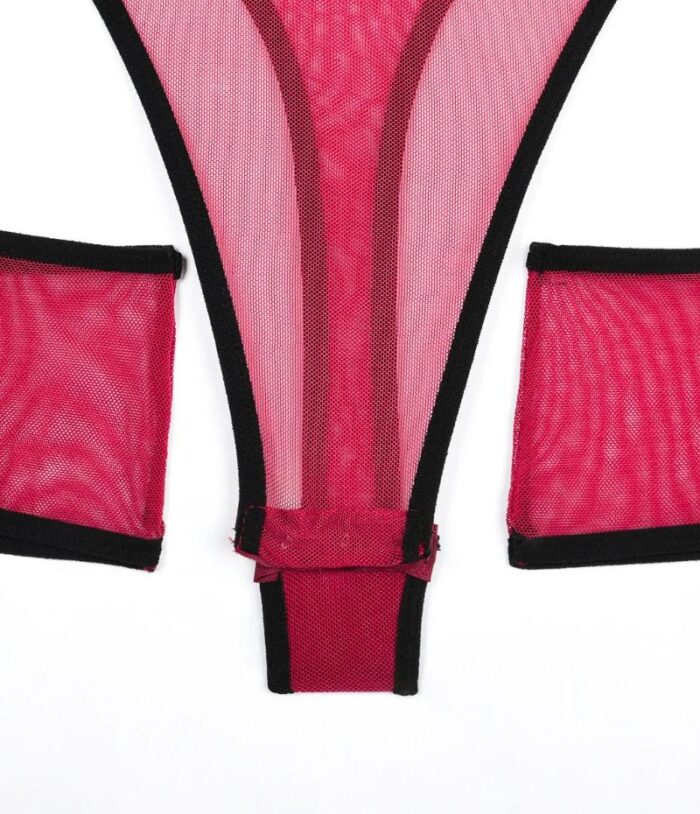 Sheer Mesh Teddy