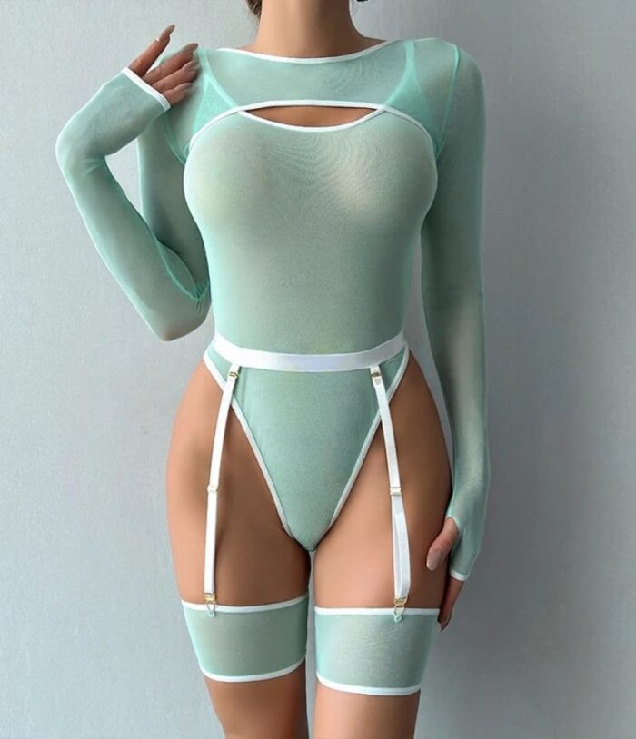 Sheer Mesh Teddy